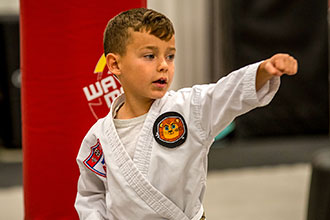 taekwondo for kids