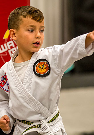 Martial arts for young children
