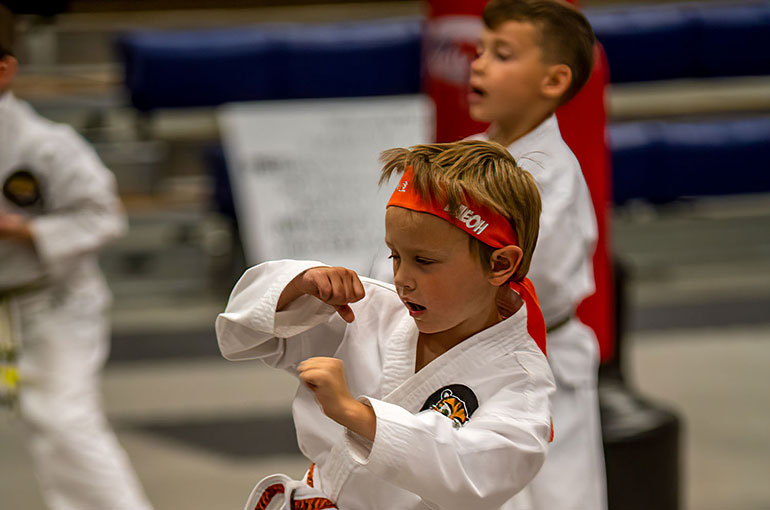 Martial arts for young children